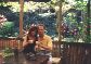 Jungle-Bar2